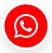 WhatsApp Icon